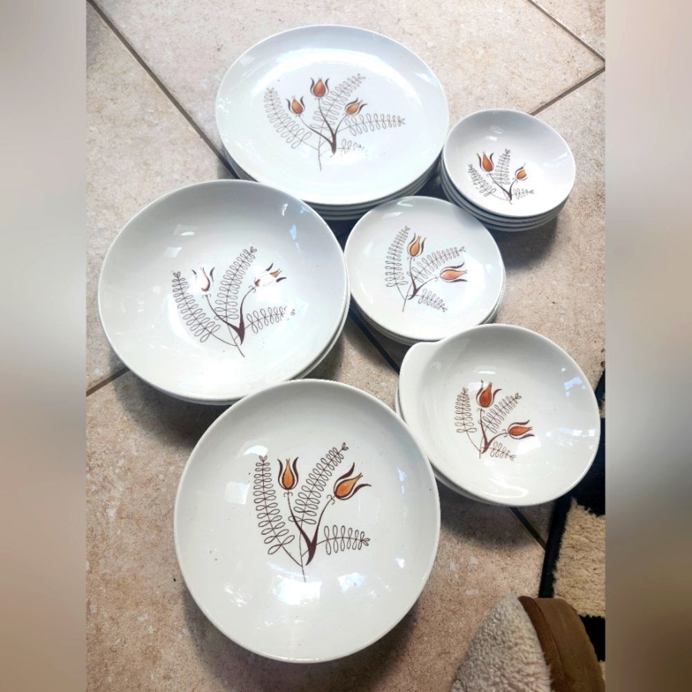 Vintage Mint 20 Pc. Dinnerware Set For 4 MCM '50s Royal China Inc."Tanglewood"